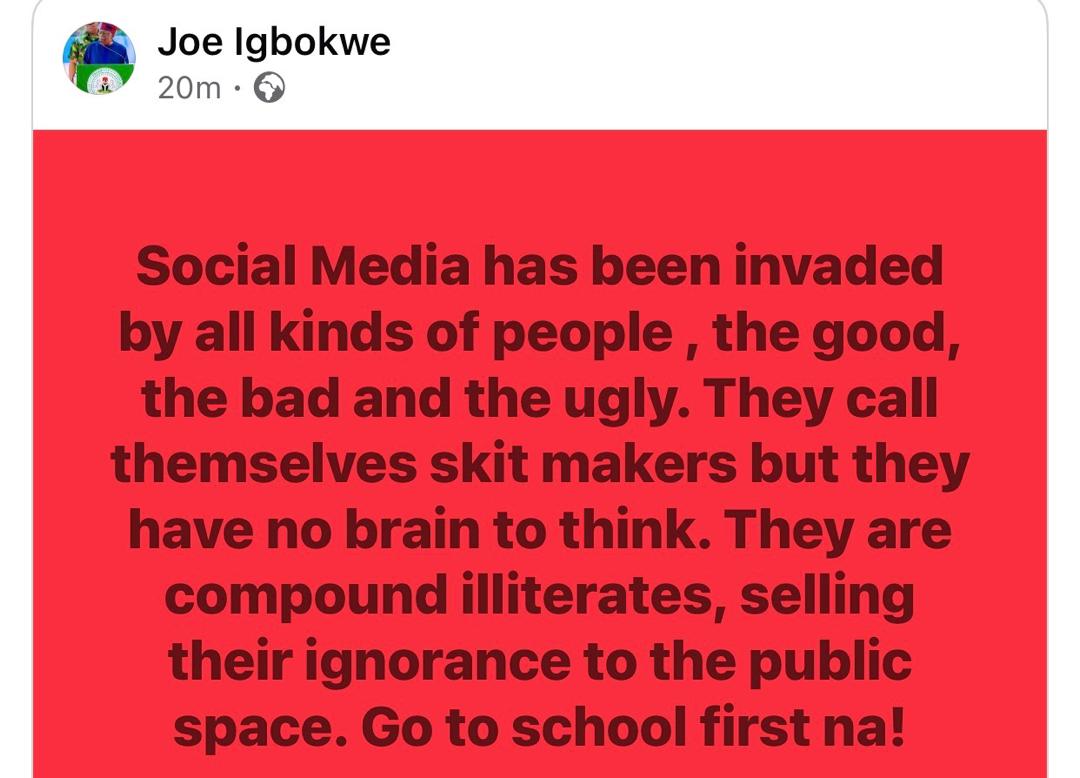 ''They have no brain to think. They are compound illiterates, selling their ignorance to the public space'- APC chieftain, Joe Igbokwe, takes a swipe on skit makers